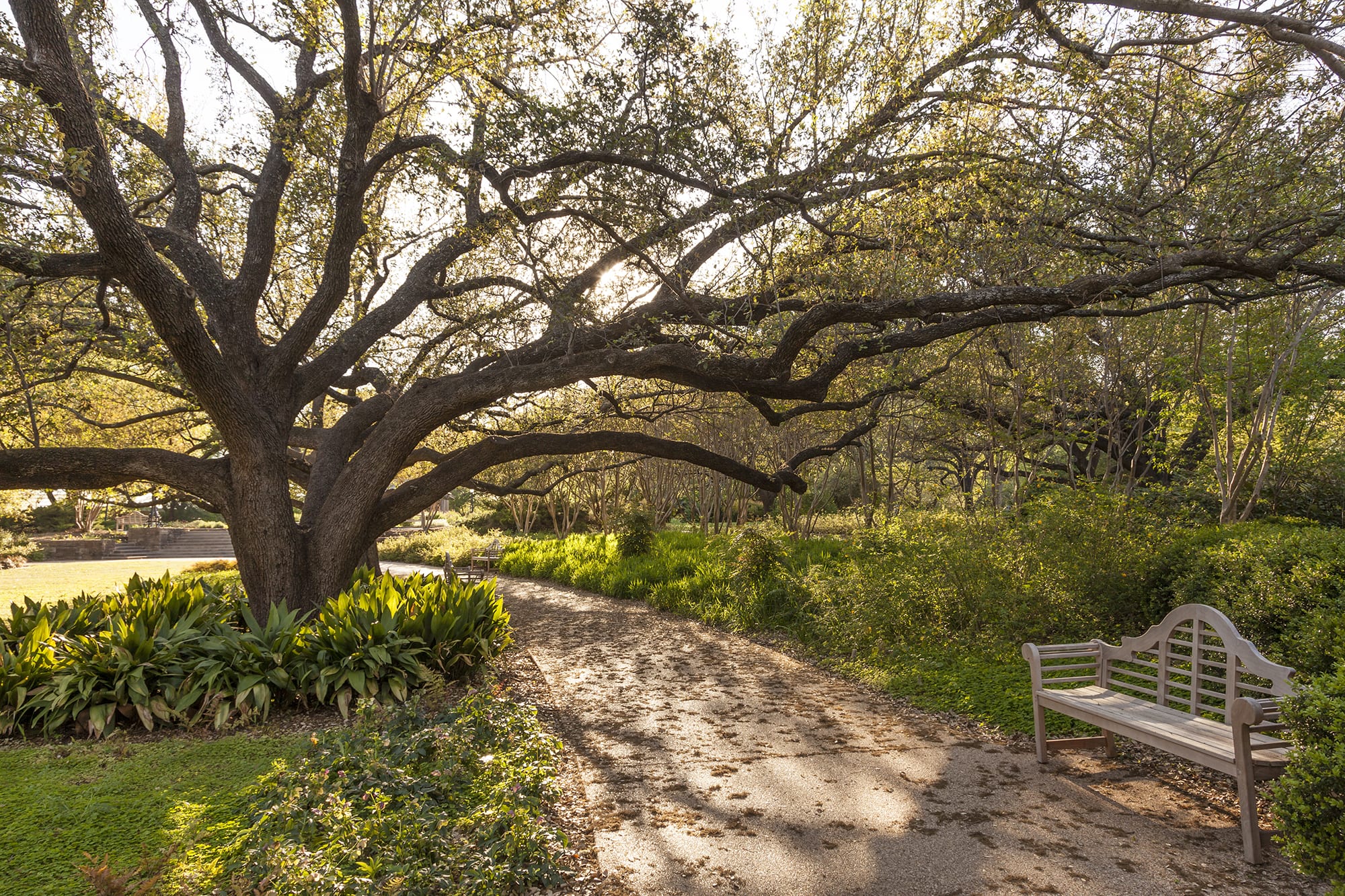 Fort Worth Botanic Garden