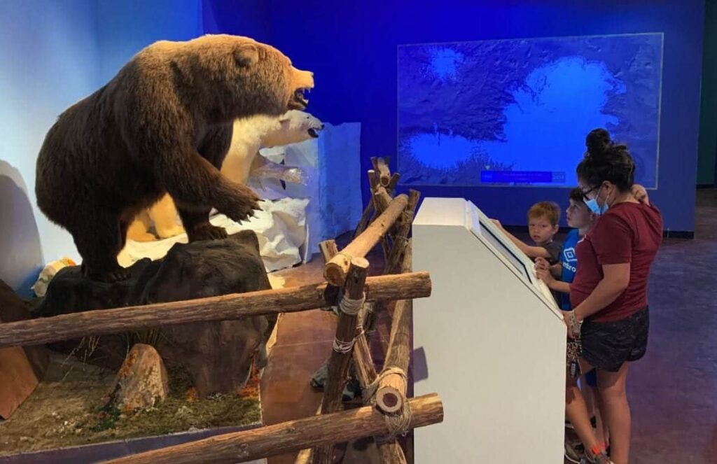 Project Planet- Fort Worth Museum of Science and History