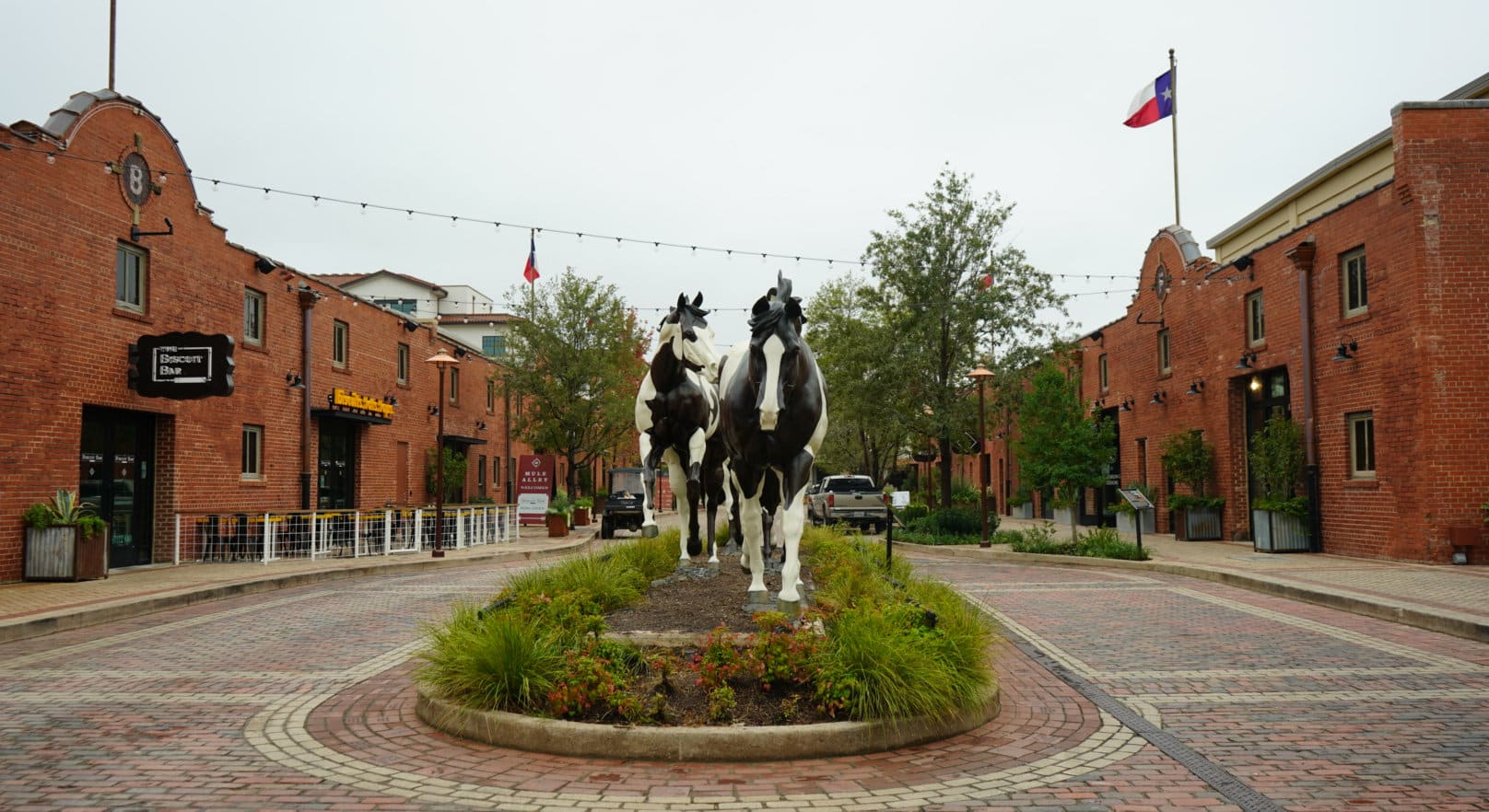 Mule Alley