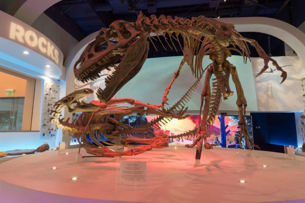 Feature Image for Post