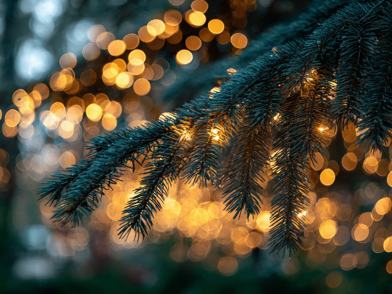 Christmas Tree w Lights